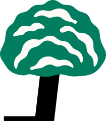 Platane